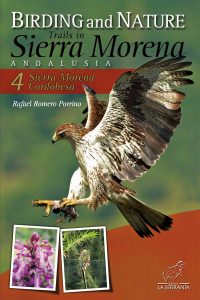 Birding and Nature Trails in Sierra Morena. Andalusia: 4. Sierra Morena Cordobesa