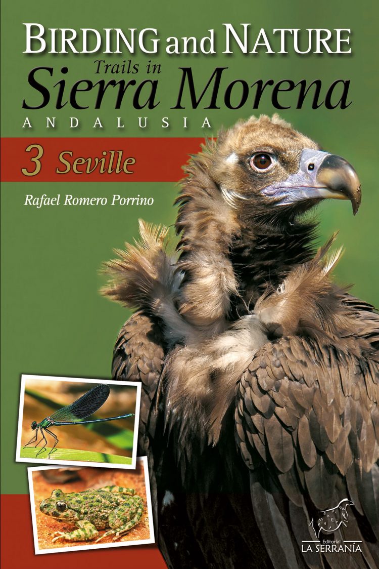 Portada de Birding and Nature Trails in Sierra Morena. Andalusia: 3. Seville